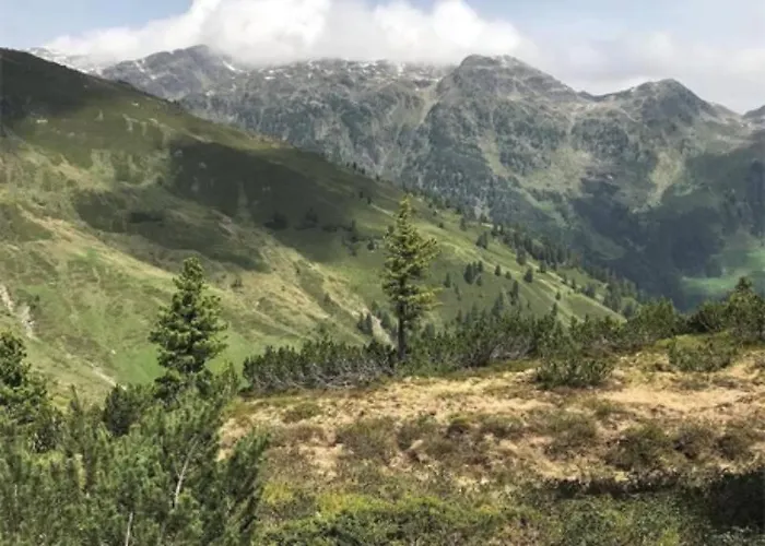 Der Grubacher Hotel 4*